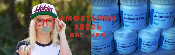 индика Бронницы