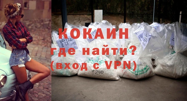 индика Бронницы