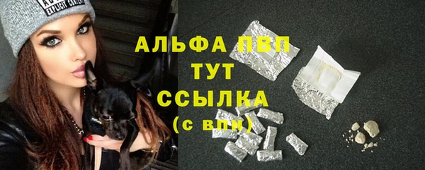 молекула духа Воткинск