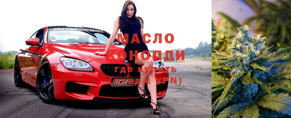 индика Бронницы