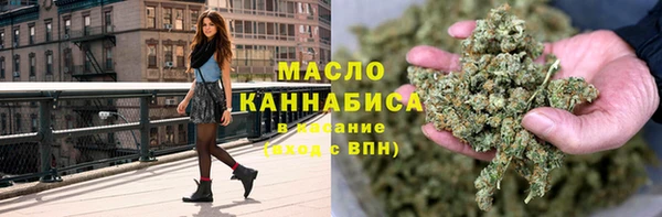 2c-b Бородино