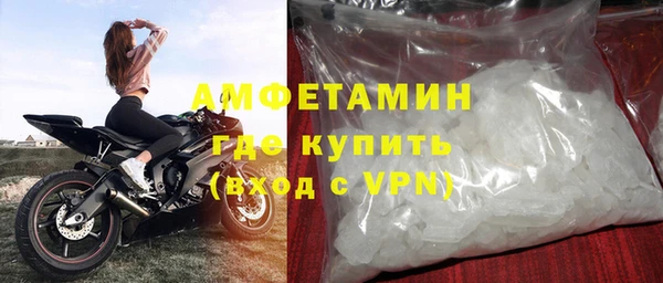 индика Бронницы