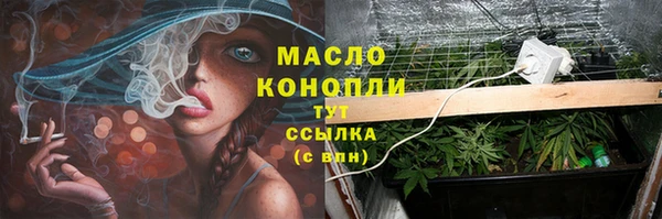 2c-b Бородино