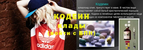 2c-b Бородино